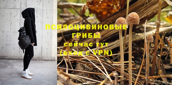 МДПВ Нея