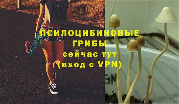 МДПВ Нея
