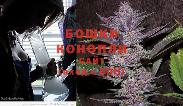 МДПВ Нея