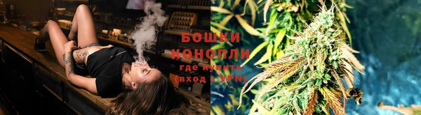трава Нефтегорск