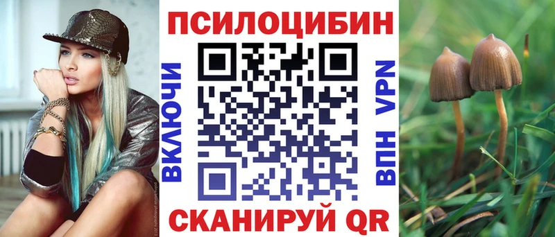 МЕГА сайт  продажа наркотиков  shop как зайти  Псилоцибиновые грибы Psilocybine cubensis  Катав-Ивановск 